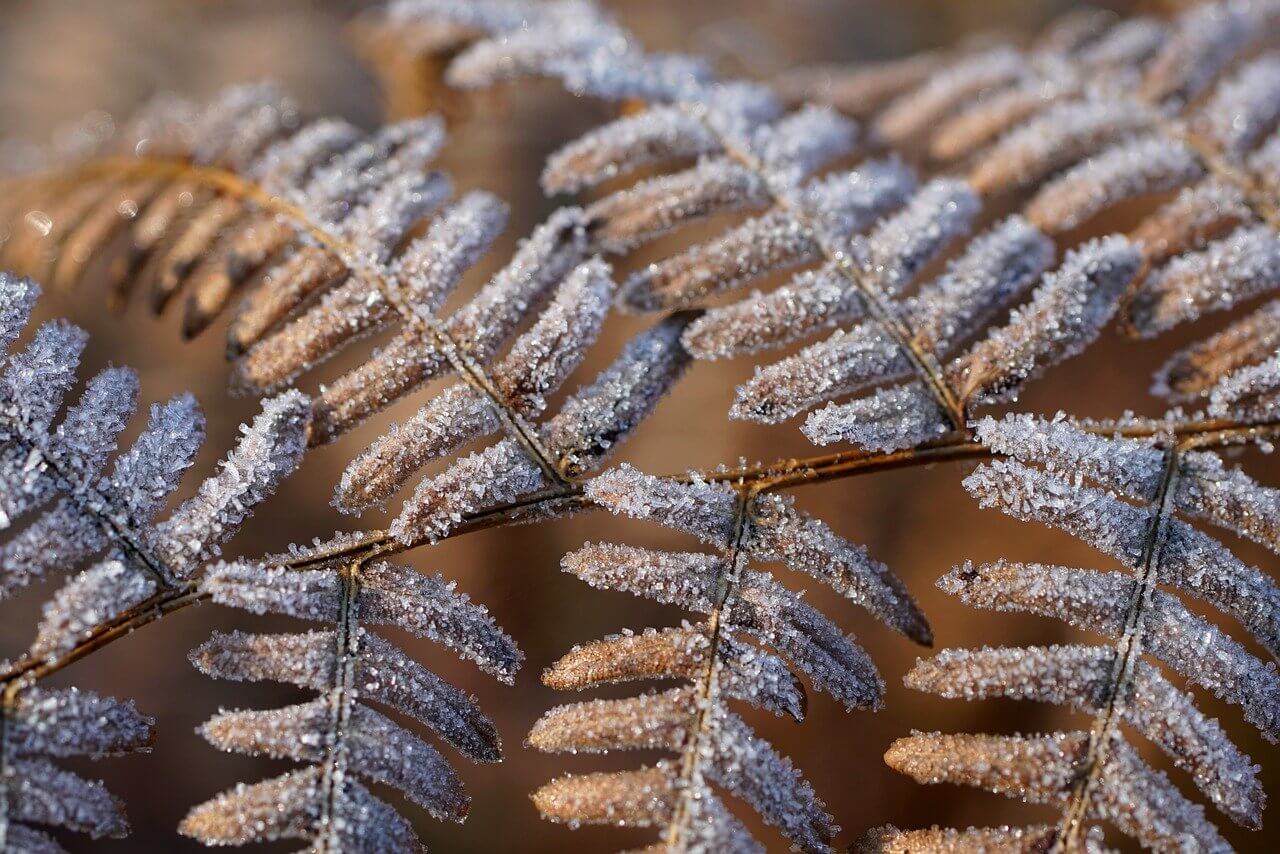 생신날, 어머니는 왜 화를 내셨을까