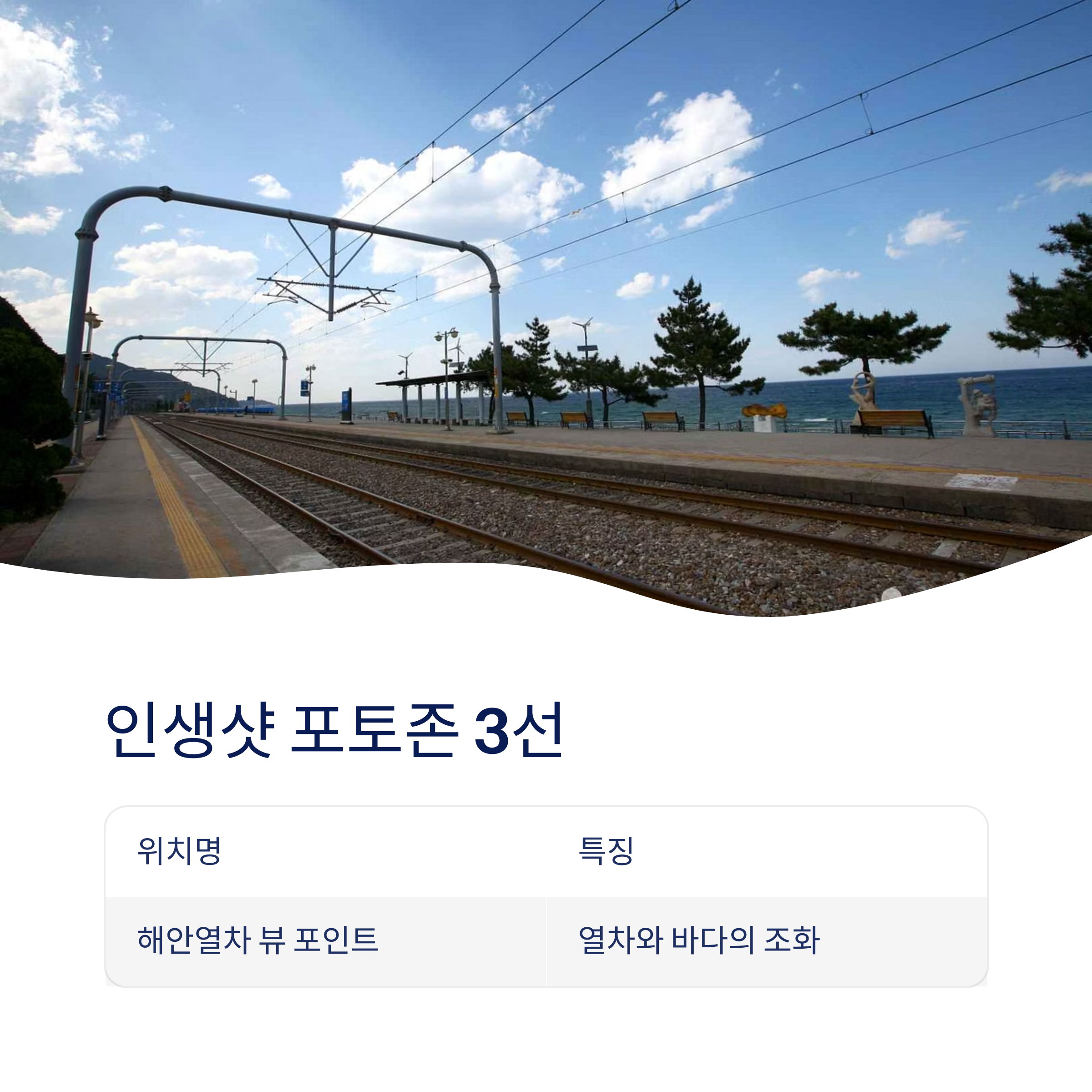 해안열차 뷰 포인트