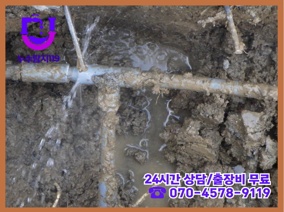 청주 성안동 아파트·빌라·상가 건물4