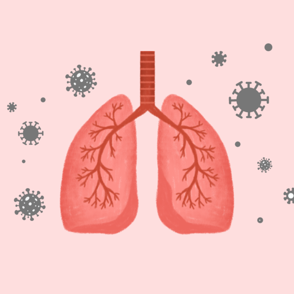 폐렴구균 예방접종 횟수, 무료접종 대상