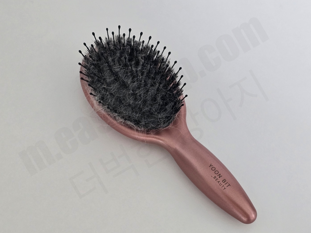 강아지 돈모빗