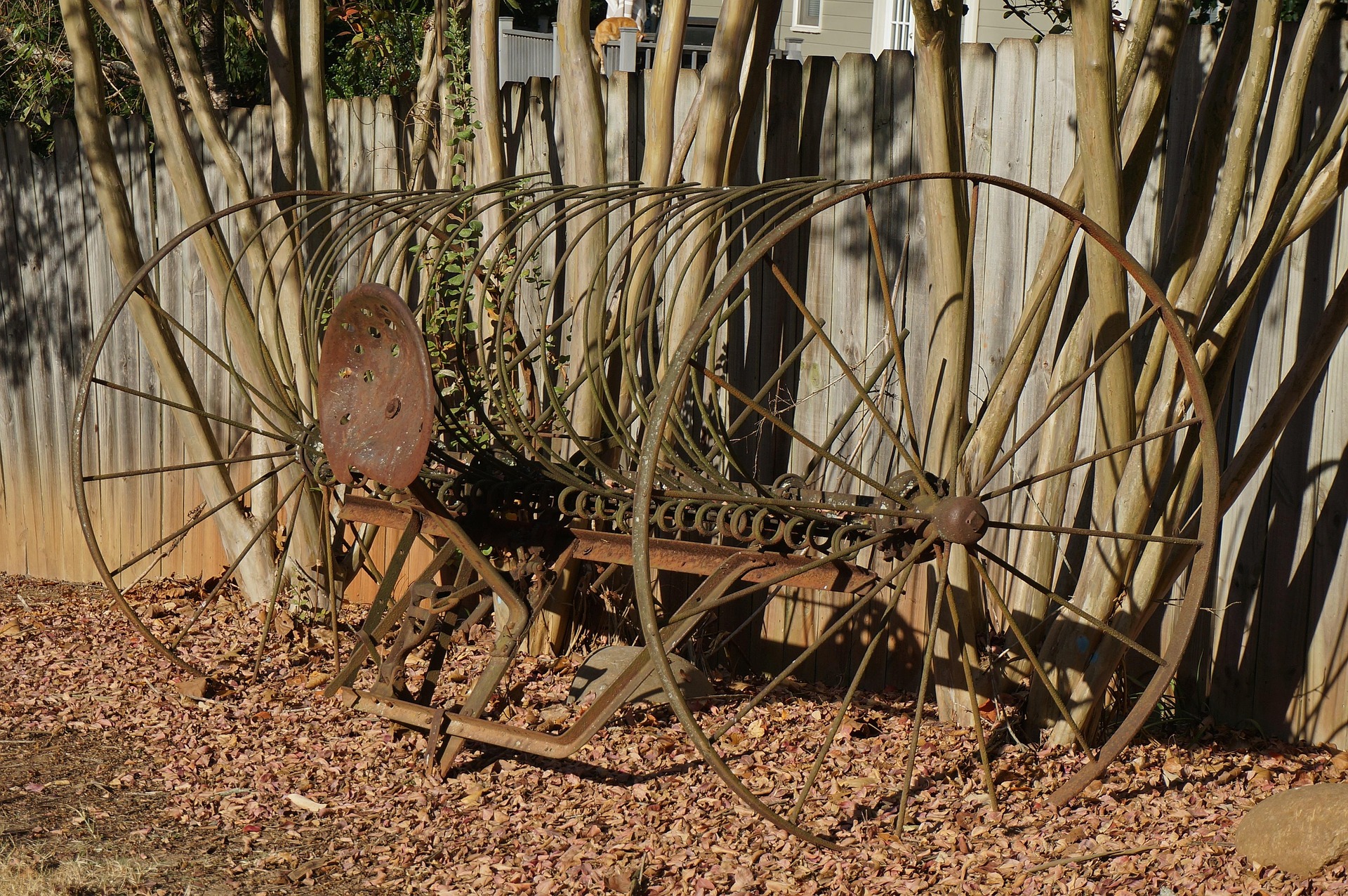 건강검진 결과지, 재검이 필요한 경우와 아닌 경우