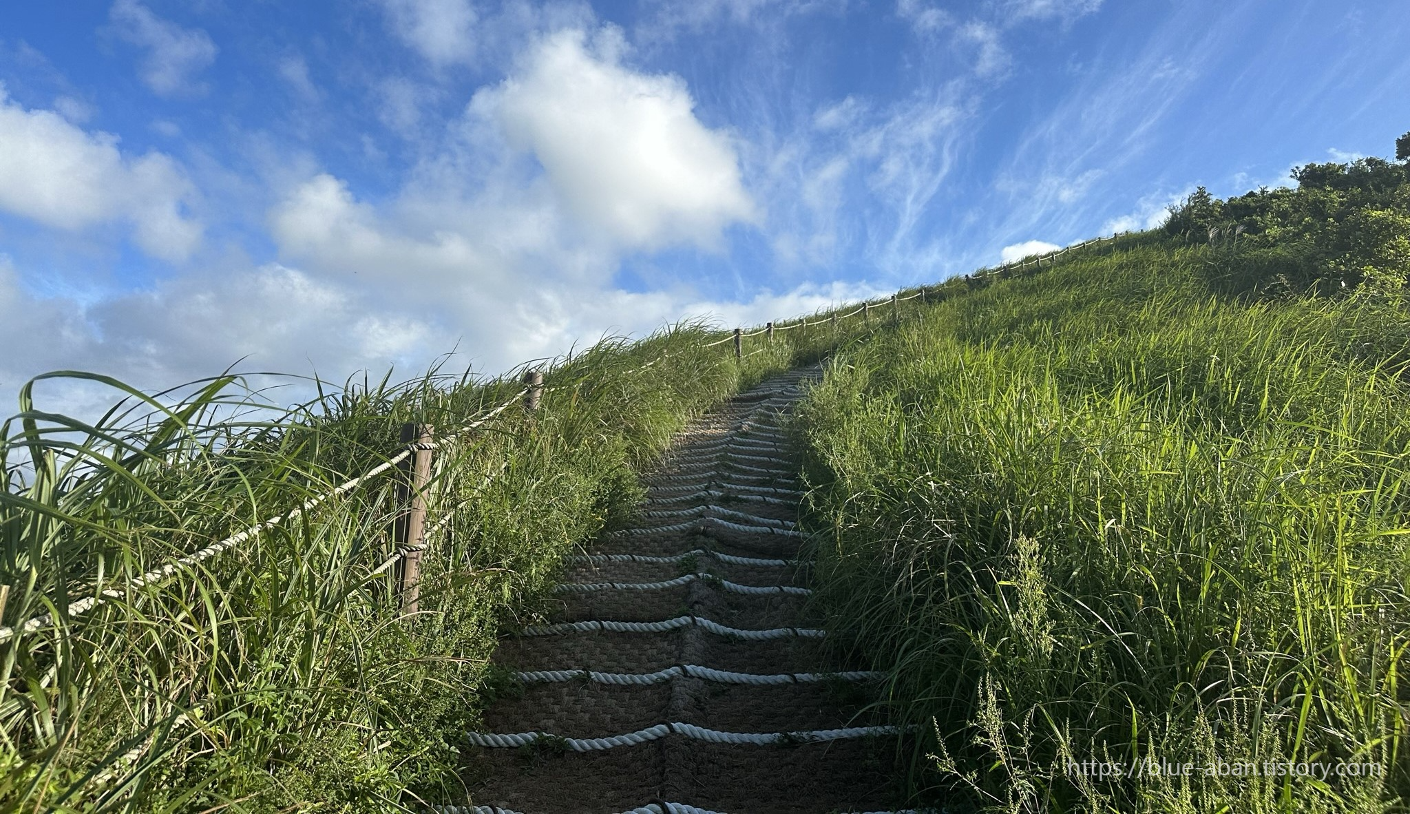 오름계단