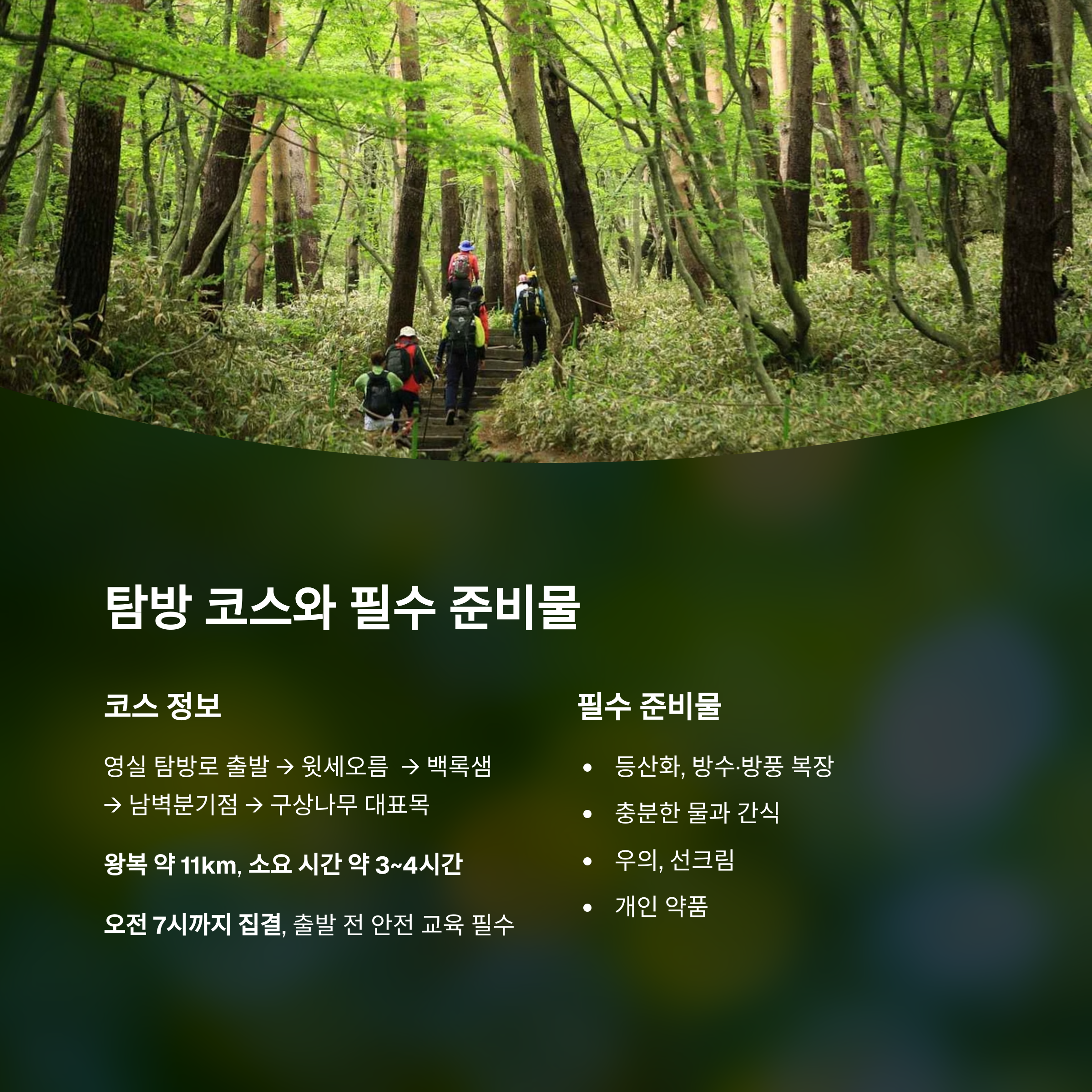 탐바 코스와 필수 준비물