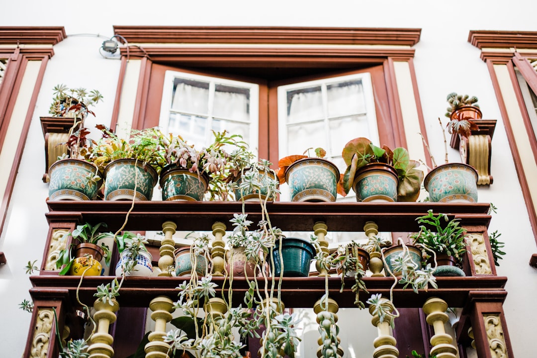 Planter