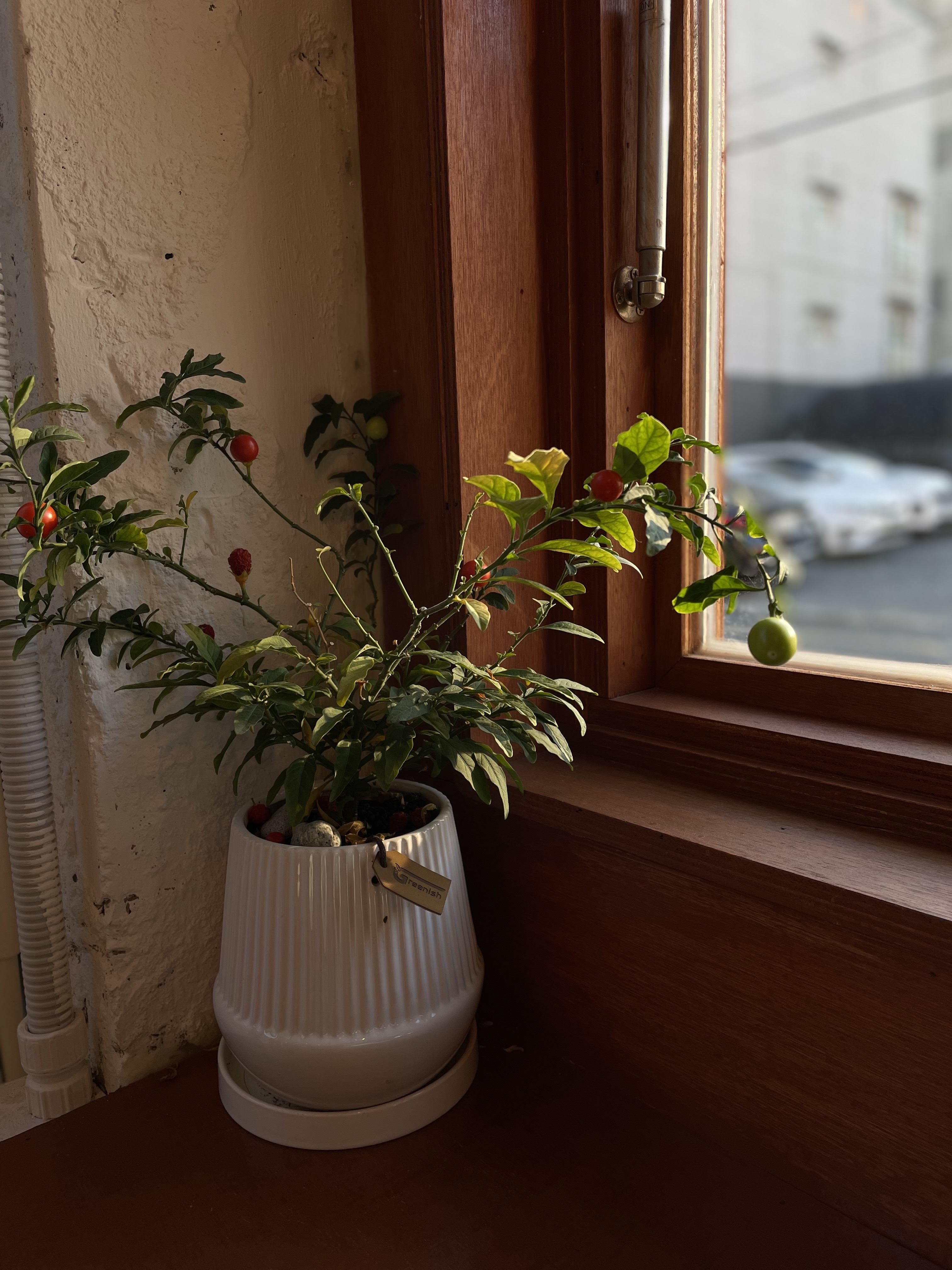 울산 언양 울주군 카페 어띠프