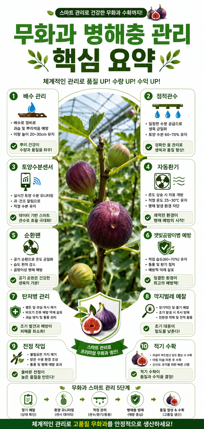 무화과 병홰충 관리 인포그래픽