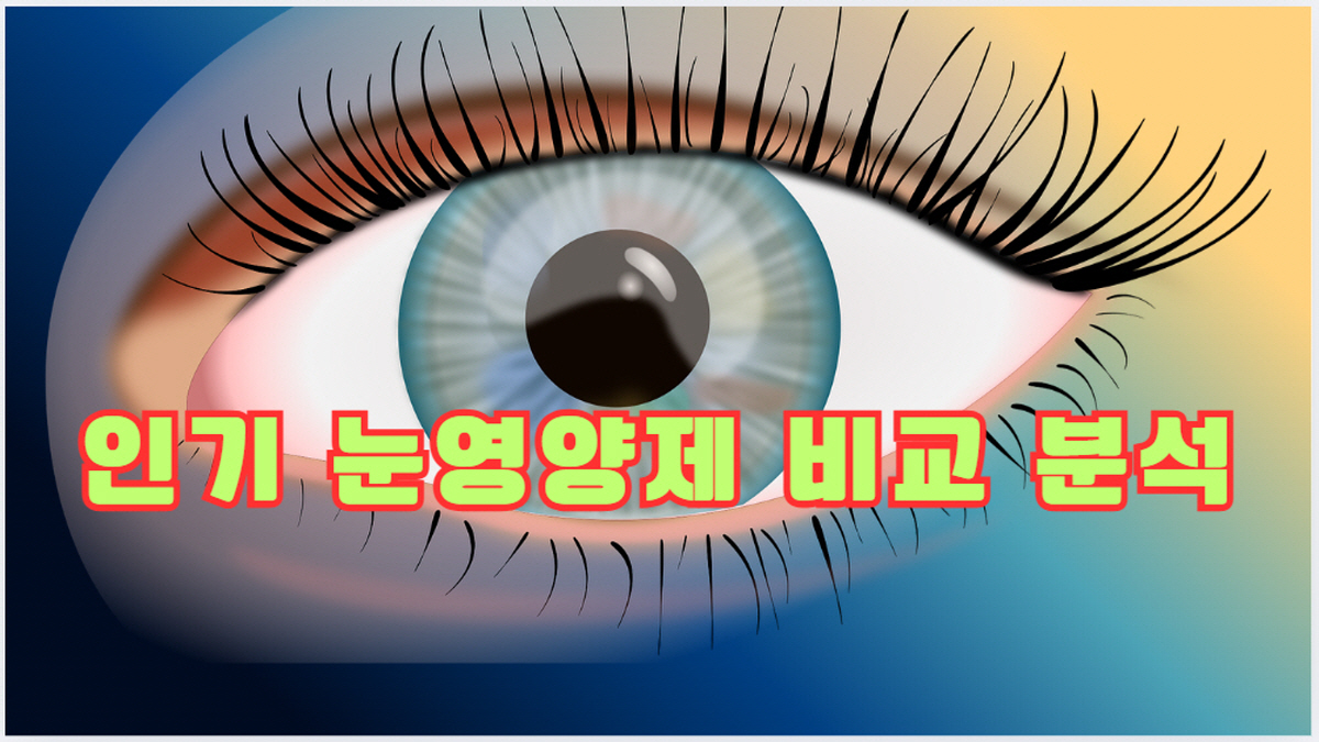 인기 눈영양제 비교 분석