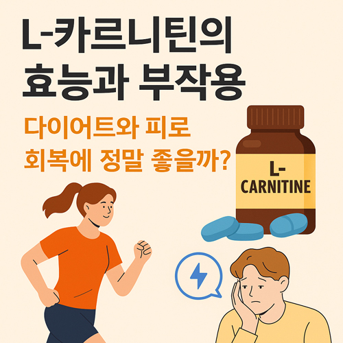 L-카르니틴의 효능과 부작용 | 다이어트와 피로 회복에 정말 좋을까?