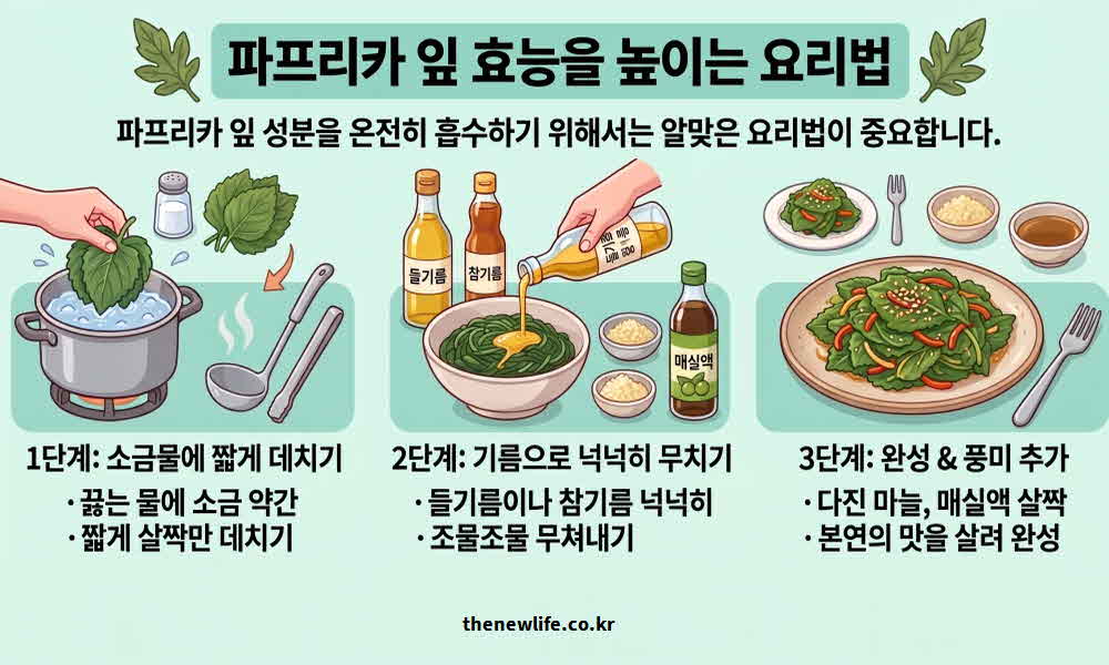 파프리카 잎 효능 높이는 요리법