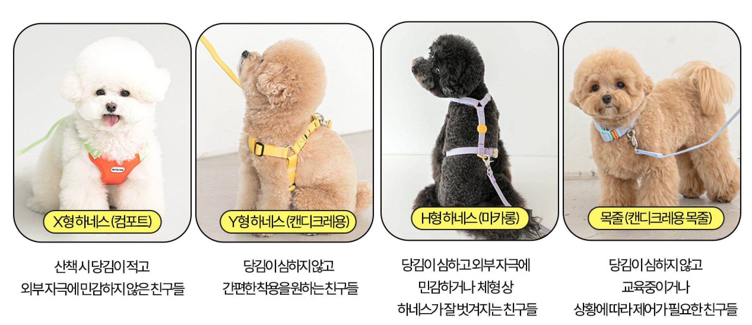 강아지 하네스 추천 H형 X형 조끼형 종류