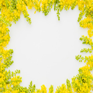 태안 튤립축제 근처 맛집 추천