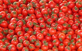 위에 좋은 음식 총정리