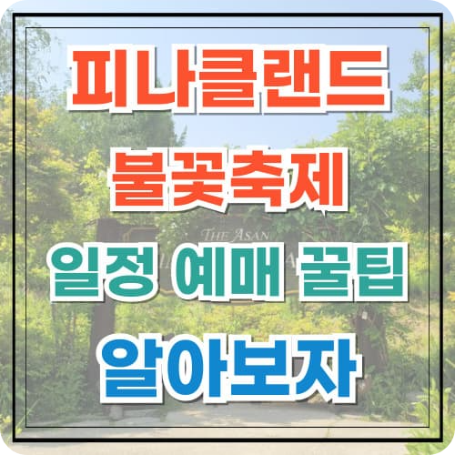 피나클랜드 불꽃축제 일정 예매 꿀팁 알아보자