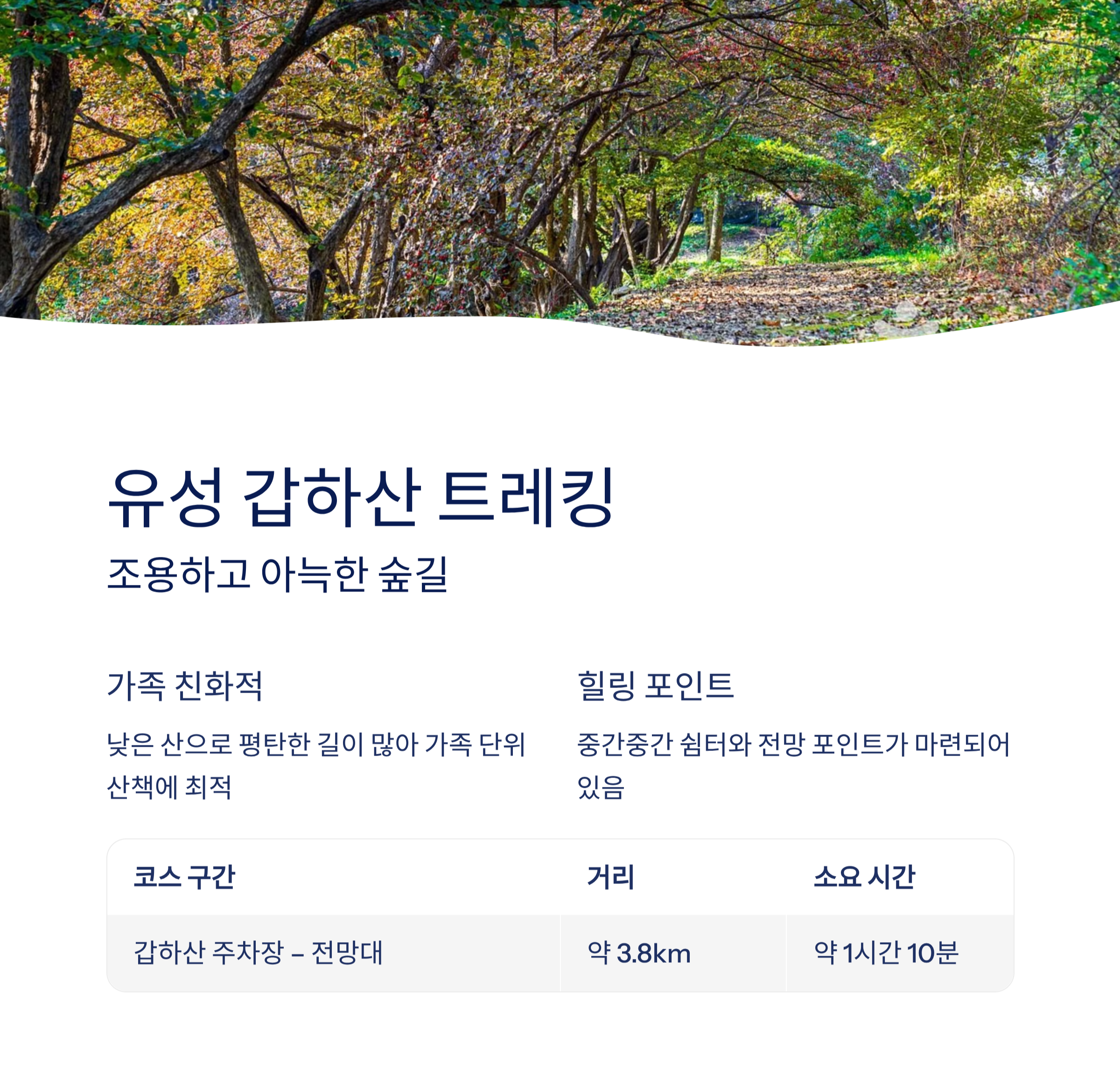 대전근교 힐링명소