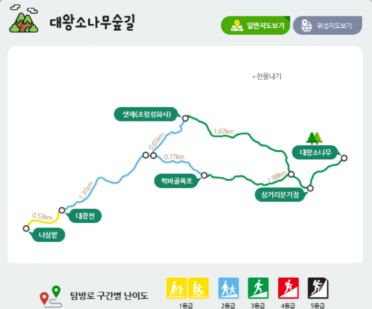 울진 금강송 소나무숲길