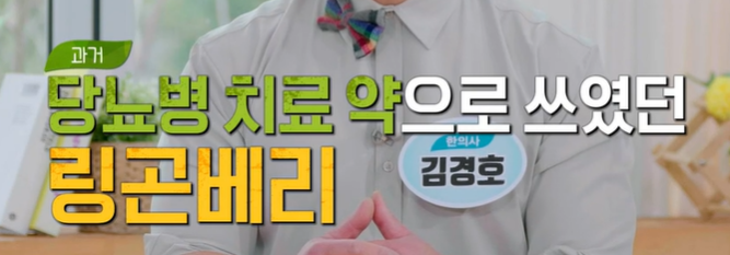 링곤베리 효능