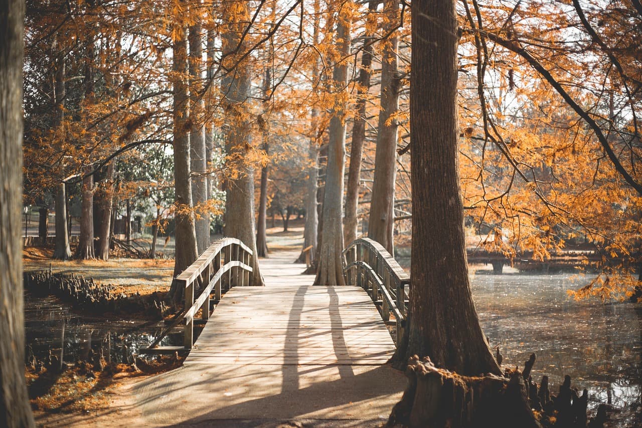 🍁 혼잡 피한 국내 가을 여행지 추천 BEST 7 (조용하고 힐링되는 명소 위주)