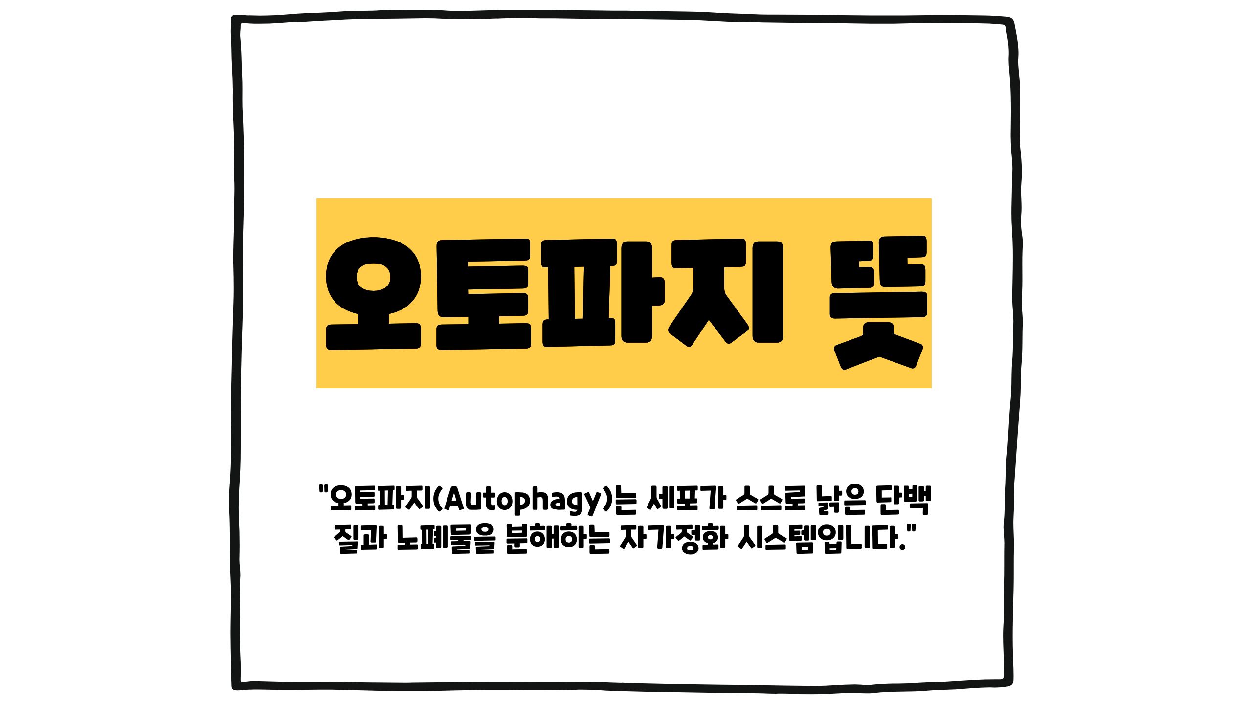 오토파지 뜻