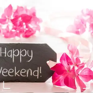 요일제 공휴일 추진13