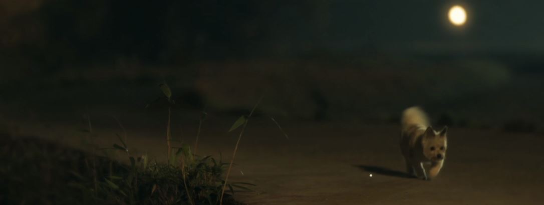 오늘도사랑스럽개_6회