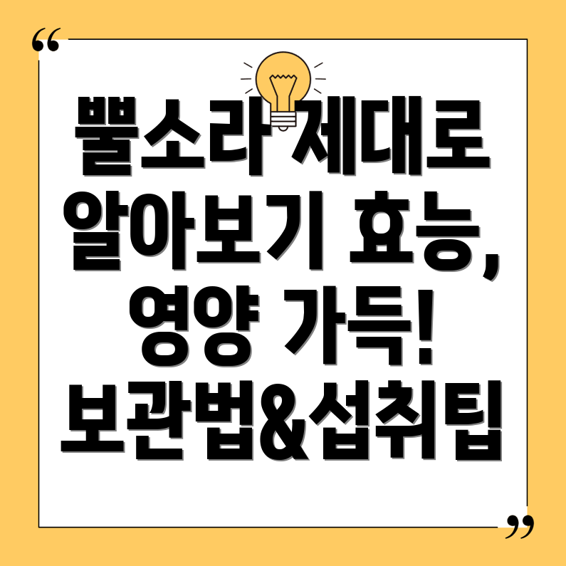 뿔소라