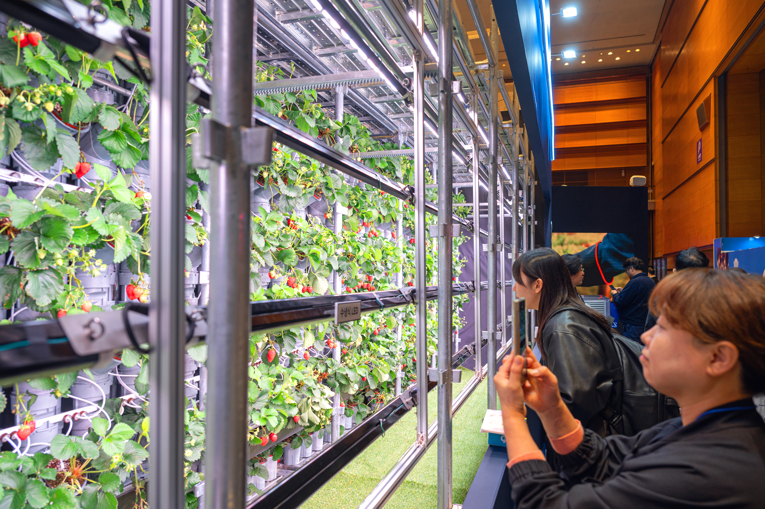 푸드위크 코리아