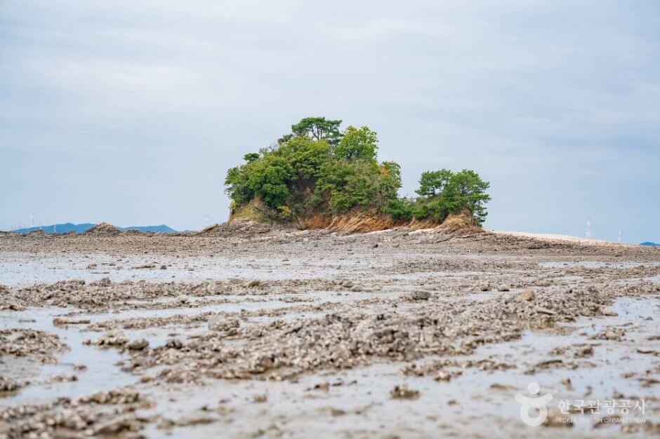 안산 가볼만한곳 베스트 10