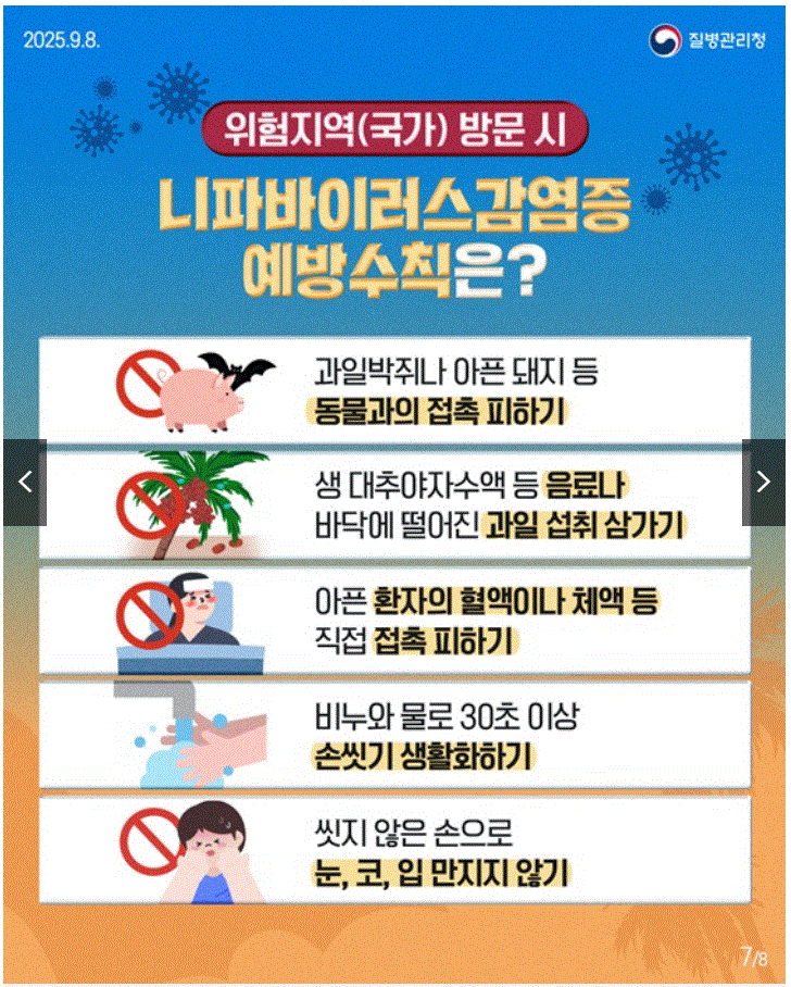 니파바이러스(Nipah Virus) 국내 유입 가능성과 대응 전략
