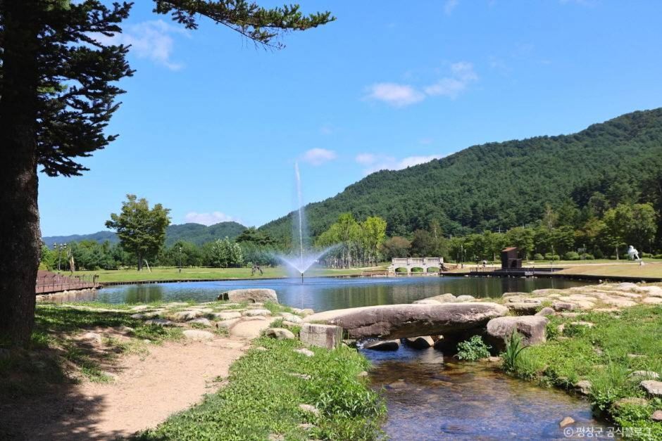 켄싱턴 프렌치가든