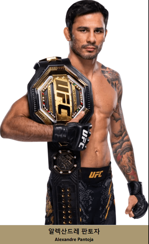 UFC 체급별 챔피언