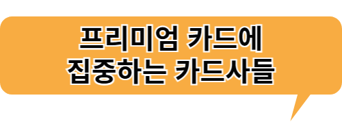 프리미엄카드에 집중하는 카드사들