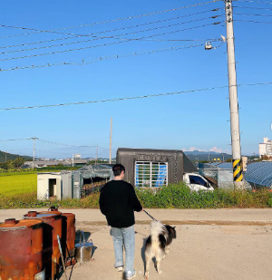 개-산책시키는-에스쿱스