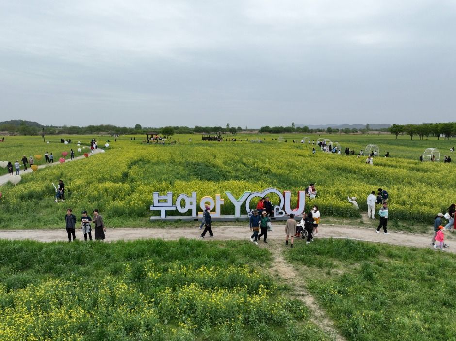 부여세도 방울토마토 유채꽃축제 / 사진출처=한국관광공사