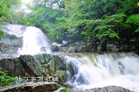 여름에 걷기 좋은 숲길 10