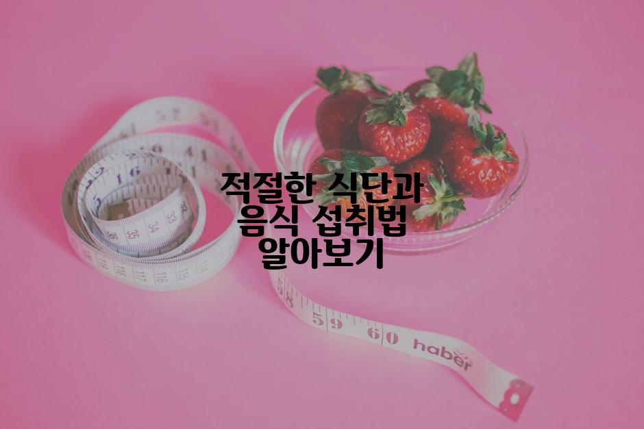 적절한 식단과 음식 섭취법 알아보기