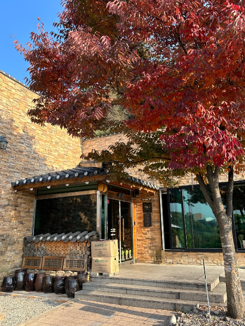 툇골오리 본점 춘천 오리 숯불구이 생방송 오늘 저녁