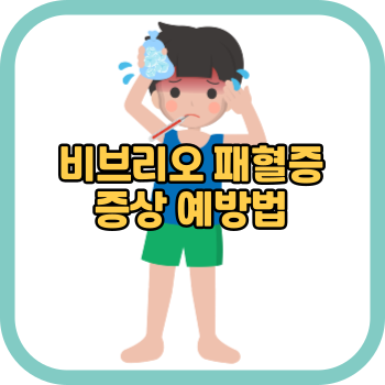 비브리오 패혈증 증상 예방법