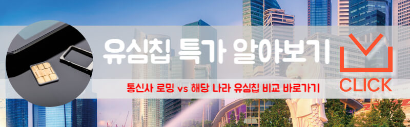 싱가포르 유심칩
싱가포르 유심칩 추천