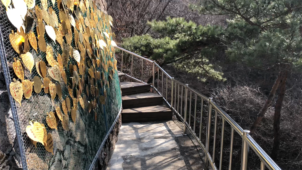 금룡사 미륵불 가는 계단