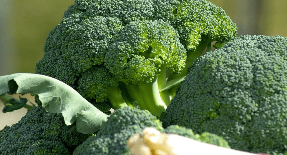 속쓰림에 좋은 음식 사진 - 8