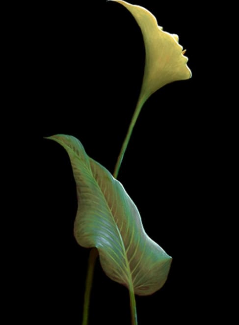 혼자하는 자신의 성격 테스트...여성이 먼저냐 꽃이 먼저냐 What You See First Reveals If You Are Sensitive or Superficial? Optical Illusion Test