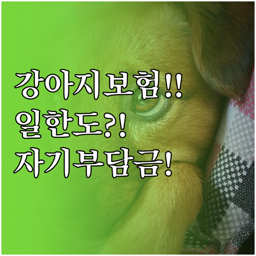 강아지 보험 선택 기준 일한도 자기부..