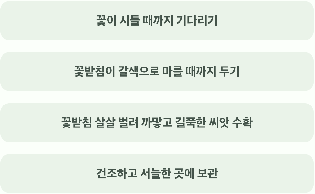 아낌없이 주는 꽃, 씨앗 받기