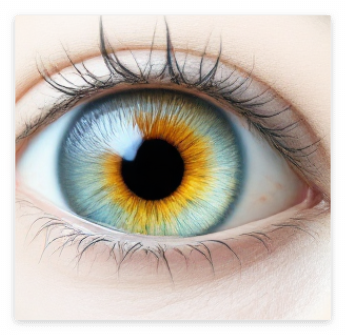 황반변성에 좋은 음식