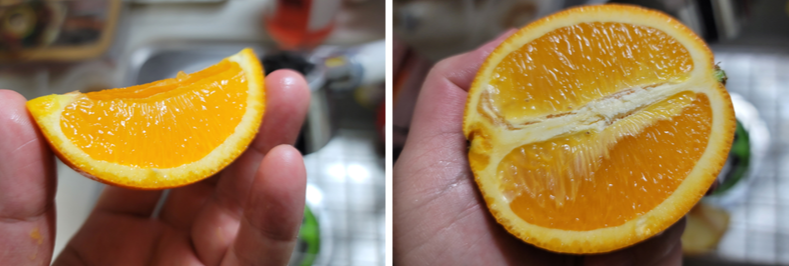 블랙라벨오렌지 단면