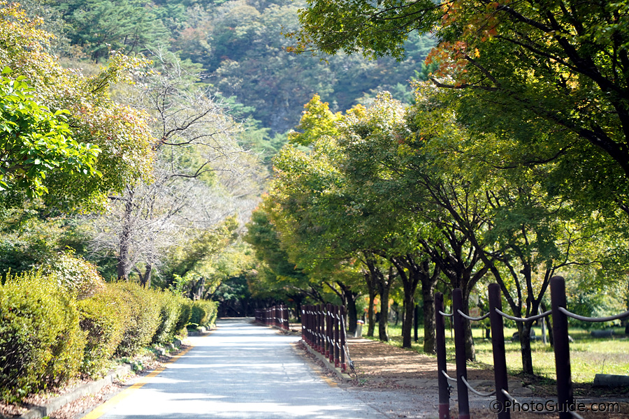 내장산-단풍