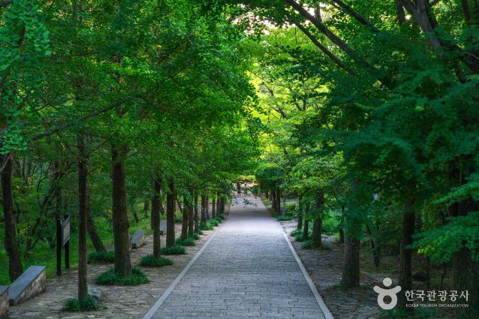 영주 가볼만한곳 베스트 10