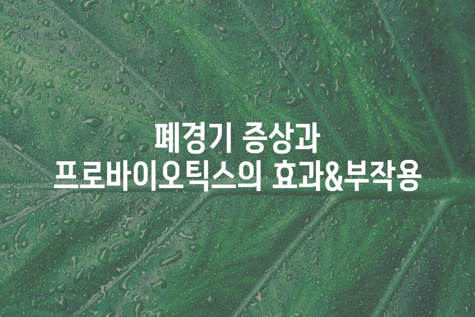샘플 (44)