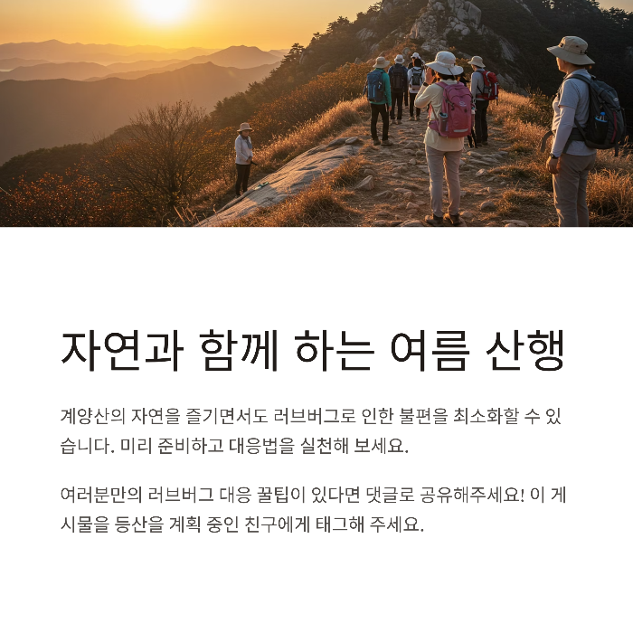 계양산 러브버그 출몰 시기
